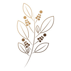 branch with leaves and flowers isolated icon vector illustration design