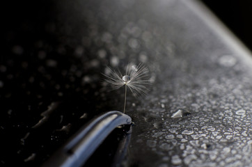 Photography with meaning