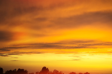 Blurred background. Bright sky with fluffy clouds.