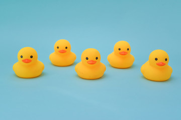 Discipline concept, rubber ducky are lining up facing same direction