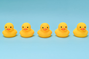 Discipline concept, rubber ducky are lining up facing same direction