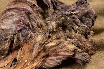 Detail of dried Red Cabbage leaf