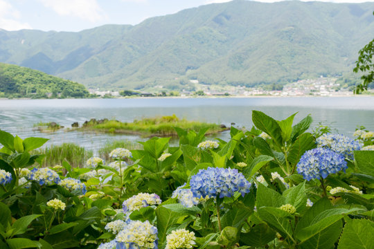 59 Best 八木崎公園 Images Stock Photos Vectors Adobe Stock