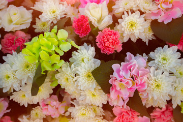 Flowers bloom a variety of colorful beautiful.