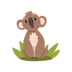 Cute koala bear sitting on the grass, Australian marsupial animal character vector Illustrations on a white background