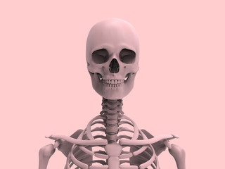 Human Anatomy Skeleton Pastel 3D Render