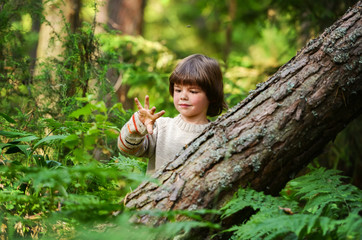 Fototapete bei efototapeten.de bestellen   