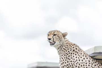 Serengeti National Park