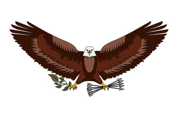 american bald eagle emblem with arrows and olive branch vector illustration design