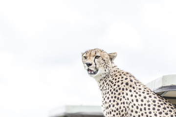 Serengeti National Park
