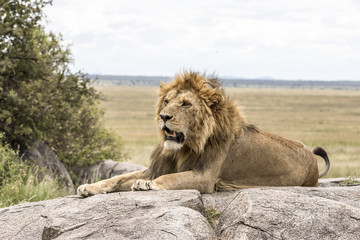 Serengeti National Park