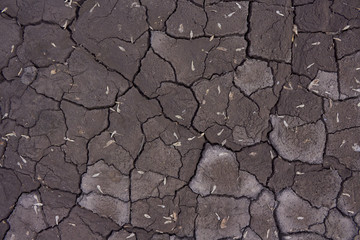 cracked earth texture