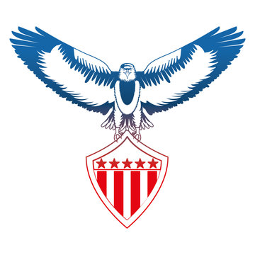 american bald eagle shield vector illustration design