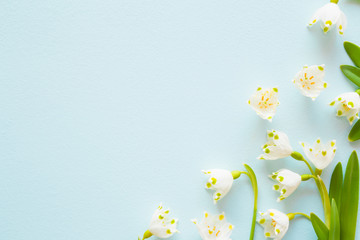 Naklejka na ściany i meble Welcome spring. Fresh, beautiful snowdrops on blue background. First messengers of spring. Greeting card concept. Mockup for special offers as advertising or other ideas. Empty place for text or logo.