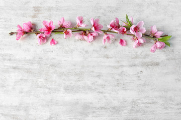 Naklejka na ściany i meble Beautiful blossoming branch and petals on wooden background