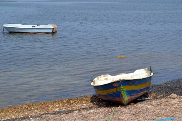 Trapani