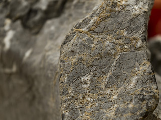 In the piece of rock, the barely visible minerals of the minerals are visible.
