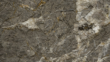 In the piece of rock, the barely visible minerals of the minerals are visible.