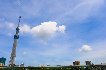 Obraz premium 東京スカイツリー