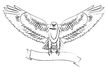 american eagle spread wings with ribbon in the talons vector illustration sketch