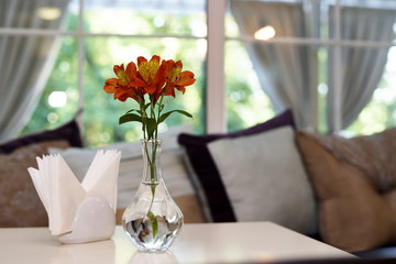 Fresh lilies in a glass vase with water on a table on the background of soft pillows by the window.