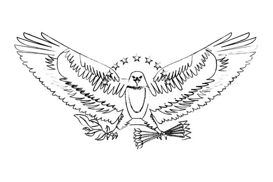american eagle spread wings with stars arrows and branch vector illustration sketch