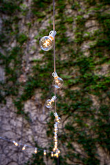 Strand of Patio Lights with Ivy growing on the wall