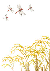 稲穂 秋 赤とんぼ　水彩 イラスト © tada