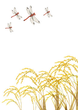 1 870 Best 赤とんぼ Images Stock Photos Vectors Adobe Stock 1 870 Best 赤とんぼ Images Stock Photos Vectors Adobe Stock