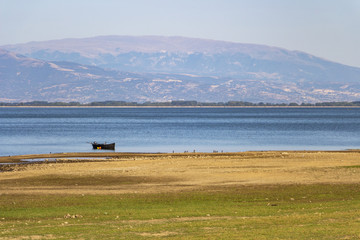 September Kerkini Lake landscape with crows and a boat