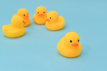 Isolation concept, rubber ducky are gathering for discussion
