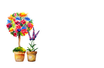 water colour flower topiary tree
