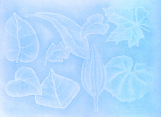 light blue draw of leaves, made with pastels on raw white paper
