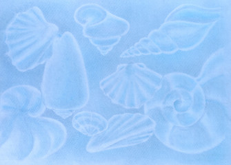 light blue draw of shells, made with pastels on raw white paper
