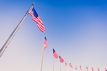 American flags on flagpoles