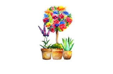 water colour flower topiary tree