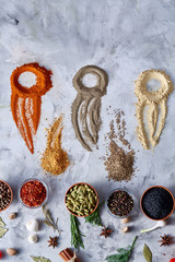 Different bowls with spices arranged in rows on white textured background, view from above, vertical.
