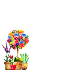 water colour flower topiary tree