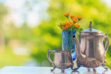 An old beautiful teapot and teacup on a book with nature background.
