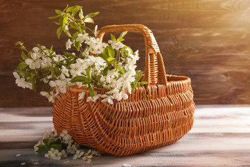 Fototapeta na wymiar Wicker basket with beautiful blossoming branches on wooden table