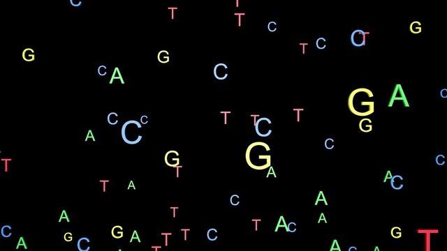 ATCG four basic nucleotides in DNA.Fast random movement.3d animation.Black and white alpha matte included.