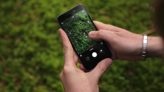 close-up, man taking pictures of moss in the forest on phone