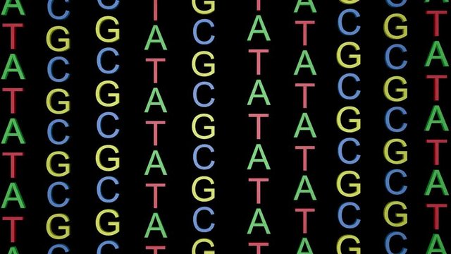 ATCG four basic nucleotides in DNA.Large letters. 3d animation.Black and white alpha matte included. 