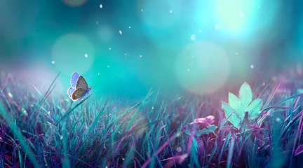 Door stickers Turquoise Butterfly in the grass on a meadow at night in the shining moonlight on nature in blue and purple tones, macro. Fabulous magical artistic image of a dream, copy space.
