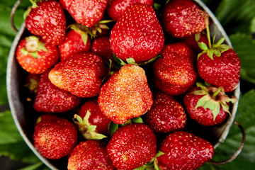 Strawberry in the bowl