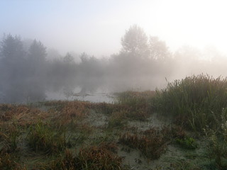 Obraz na płótnie Canvas Fog on the lake. Dawn.