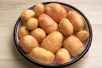 Young potatoes in a round pot