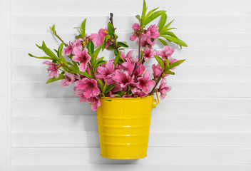 Bucket with blossoming branches on folding screen