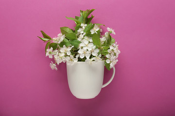 Vase with blossoming flowers on color background