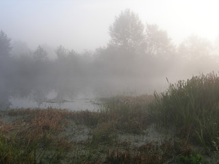 Obraz na płótnie Canvas Fog on the lake